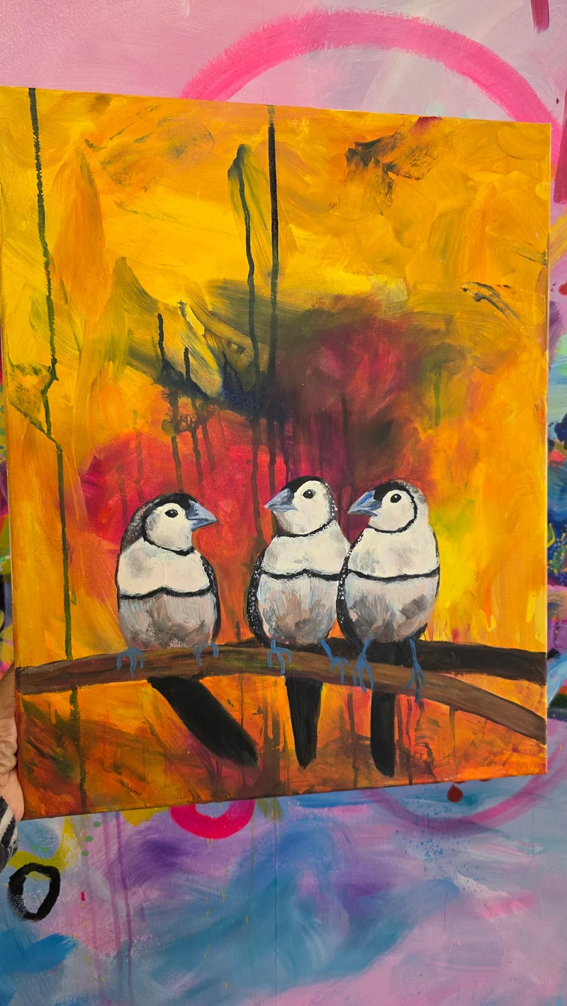 Owl Finches