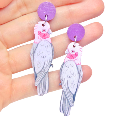 Earrings - Galah Australian Bird