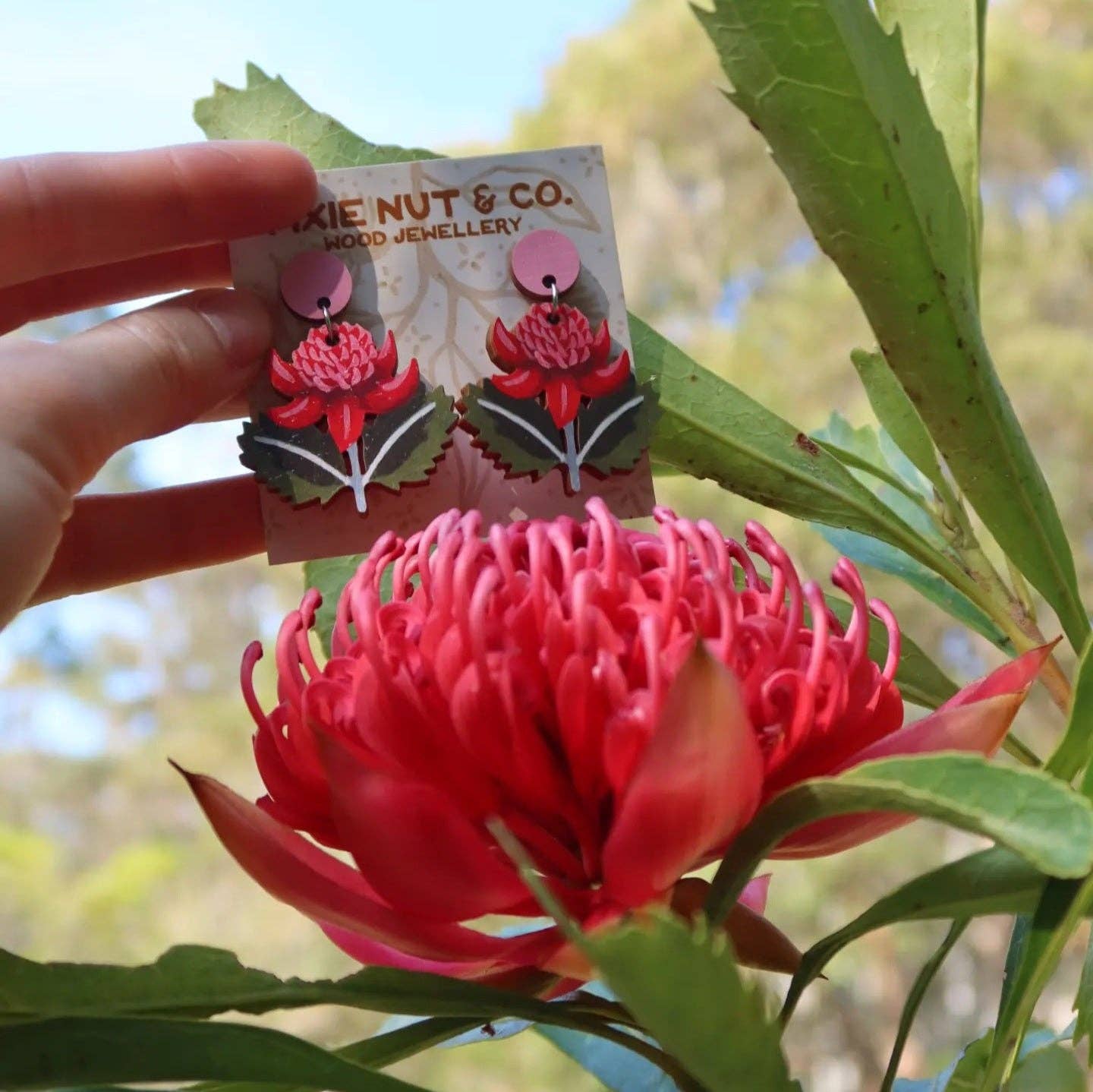 Earrings - Waratah Australian Wildflower