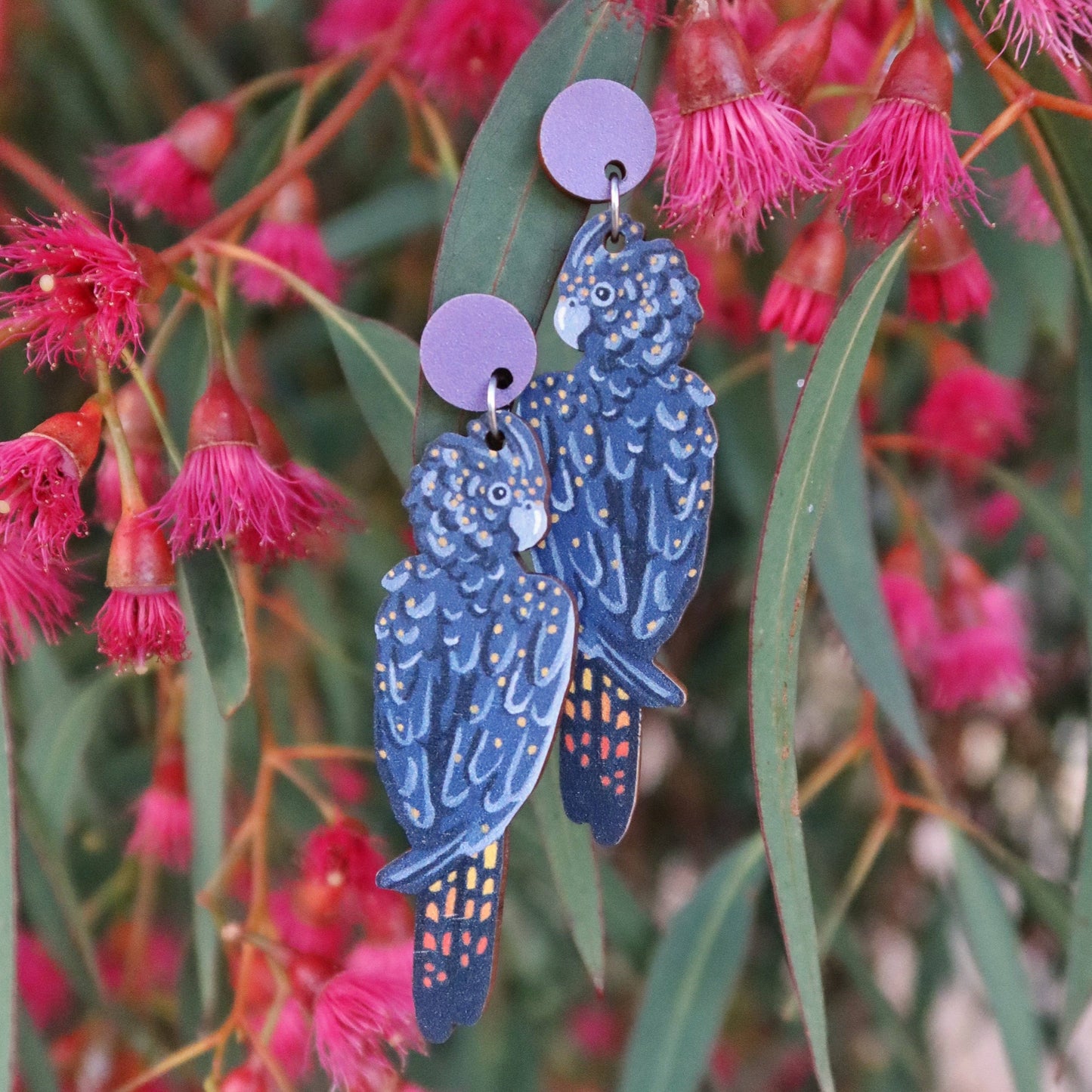 Earrings - Black Cockatoo Australian Bird
