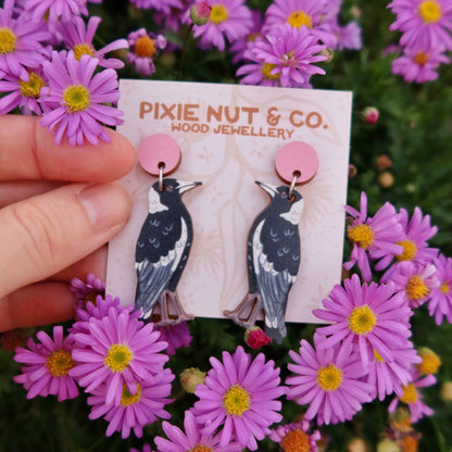 Earrings - Magpie Australian Bird
