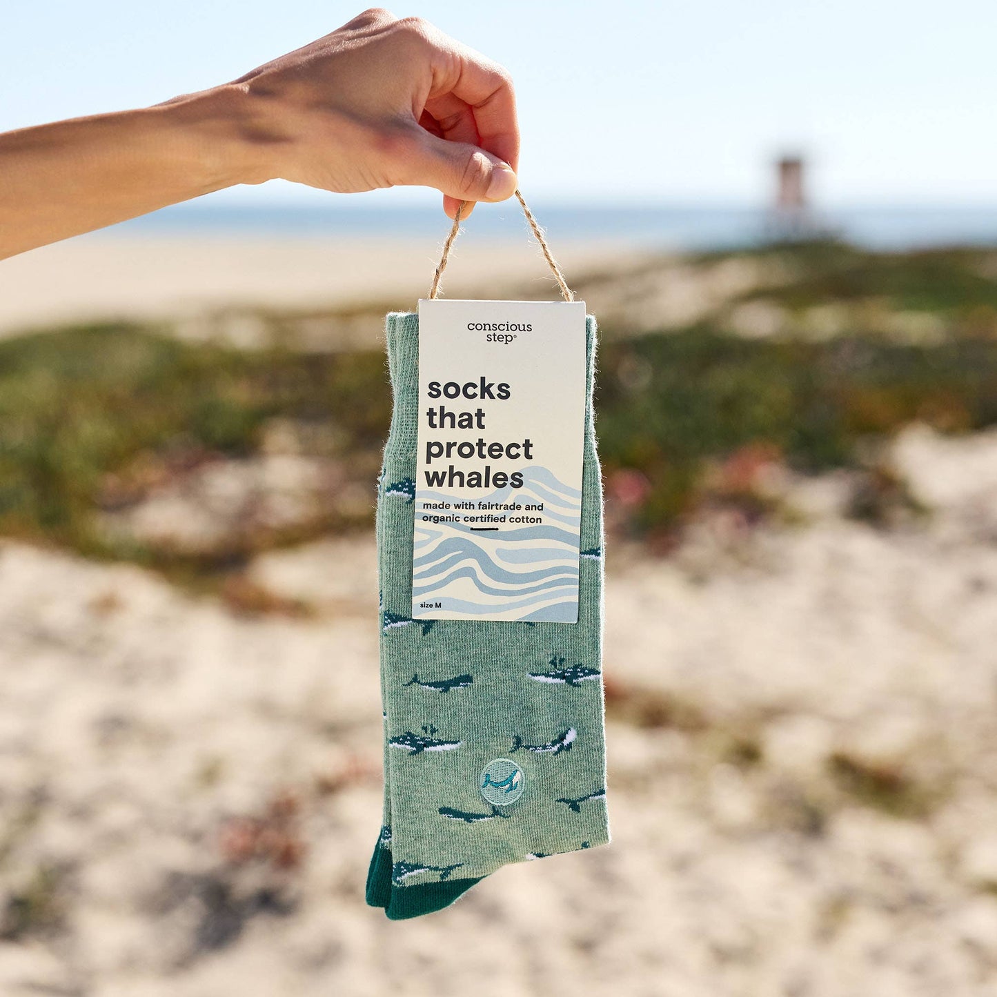 Socks that Protect Whales: Small