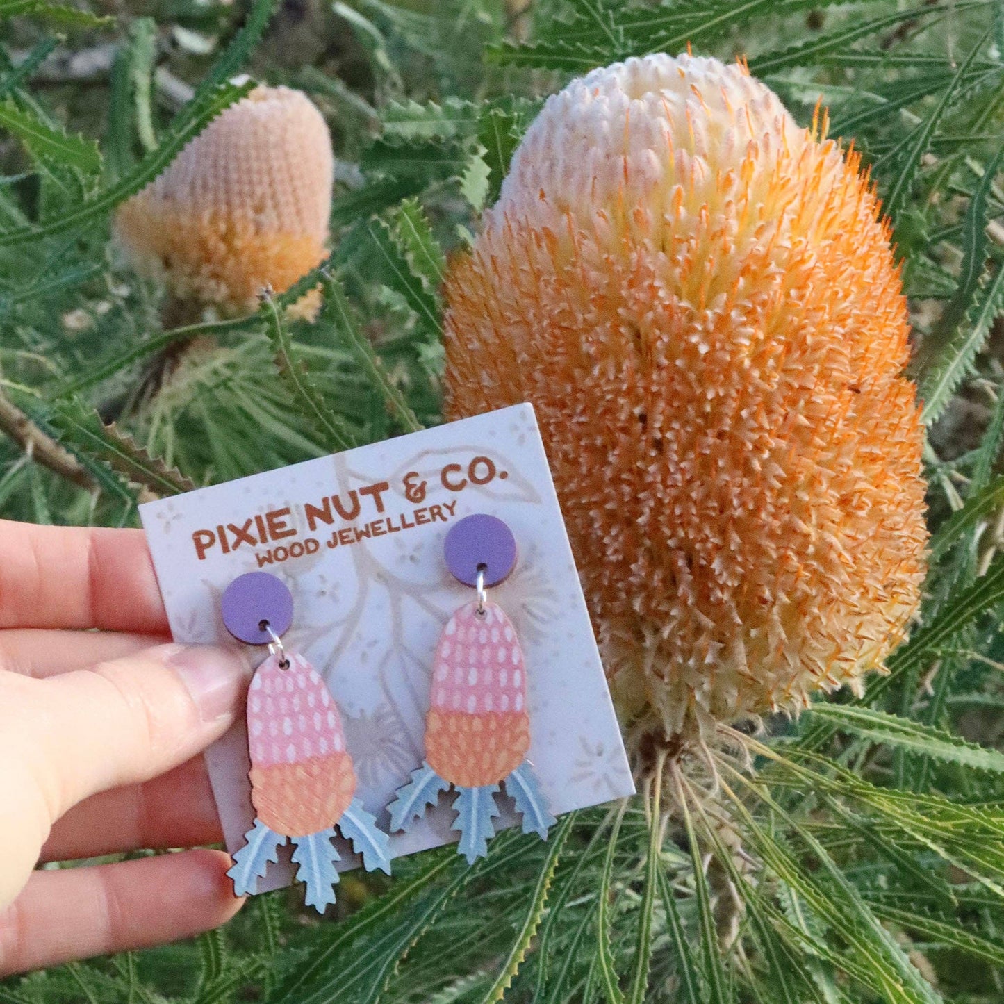 Earrings - Banksia Australian Wildflower