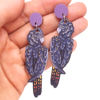 Earrings - Black Cockatoo Australian Bird